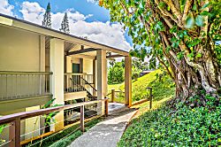 Hanalei Bay Resort 1557