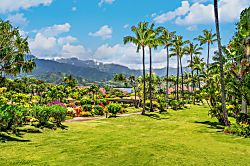 Hanalei Bay Resort 1557-58