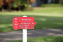 Fairways at Waikoloa Rental