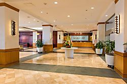 Ilikai Hotel 5th Floor Unit