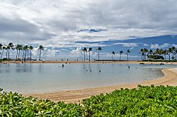 Ilikai Hotel Condo 1777