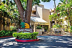 Paki Maui 316