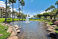 Kamaole Sands 10-115