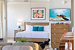 Waikiki Banyan 3504 T2