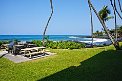 Kona Bali Kai #331