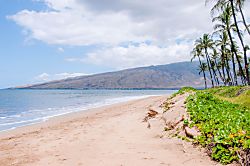 Kihei Sands A1