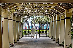 Aston Waikiki Beach Tower 2BOV3