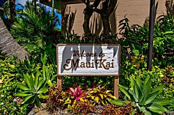 Maui Kai 504
