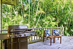 Hanalei Ohana - vacation rental photo 27