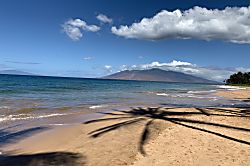 Palms at Wailea 1802