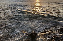 Kona Isle Rental Unit