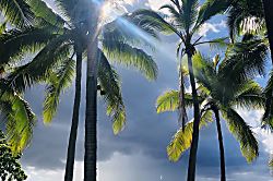 Royal Sea Cliff Unit