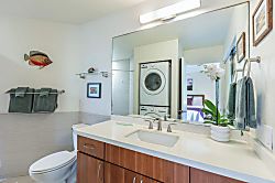 Ikena Kai