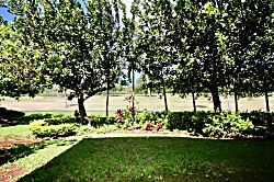 North Shore Barefoot Hideaway