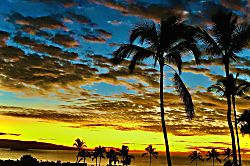 Wailea Ekolu Village 1704