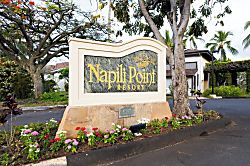 Napili Point NAP-C42 - Welcome to Napili Point Resort Maui, where tropical charm, lush landscaping & island luxur