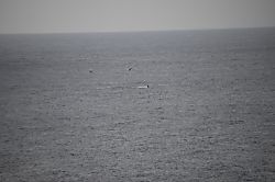 Alii Kai Ocean View Condo