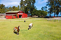 Villa 109 Turtle Bay 