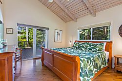 Paradiso Hale