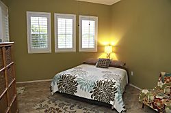 Coconut Plantation Unit