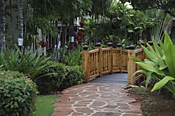 Coconut Plantation Unit