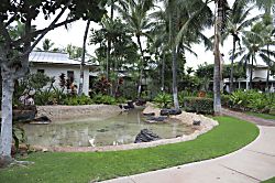 Coconut Plantation Unit