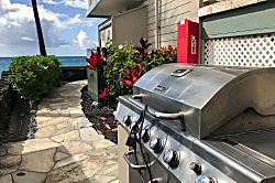 Hale Kona Kai 203