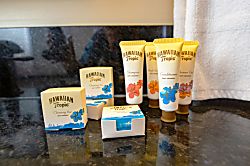 Waikiki Banyan 1007 T2