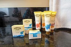 Waikiki Banyan 1007 T2