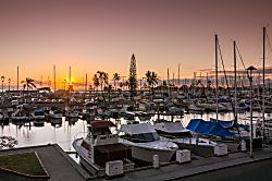 Aqua Aloha Surf Waikiki 1501