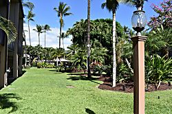 Kiehi Garden Estates Top Floor