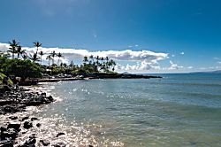 Maui Vista #1216