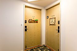 Tranquil Turtle Retreat