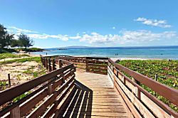 Tranquil Turtle Retreat