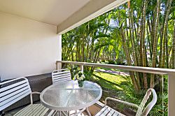 Tranquil Turtle Retreat