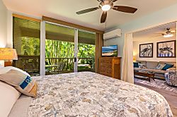 Tranquil Turtle Retreat