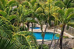 Tranquil Turtle Retreat