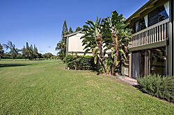 Honu Kai @Turtle Bay