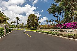 Honu Kai @Turtle Bay