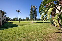 Honu Kai @Turtle Bay