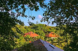 Poipu Crater 12 - Tropical Paradise - Garden/Crate