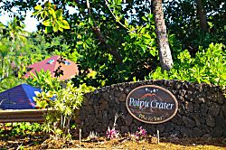 Poipu Crater 12 - Tropical Paradise - Garden/Crate