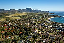 Poipu Crater 12 - Tropical Paradise - Garden/Crate