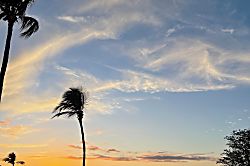 Grand Champion Villas #171