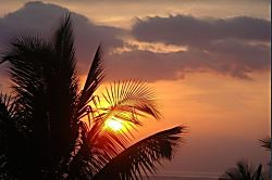 Grand Champion Villas #171