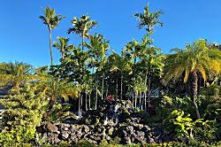 Grand Champion Villas #171