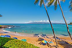 Napili Bay Resort 203