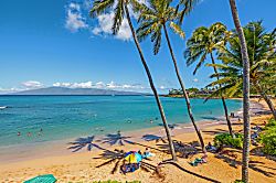 Napili Bay Resort 203