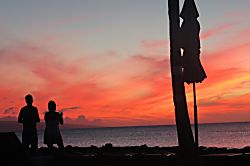 Oceanfront Paradise Ground Floor Condo