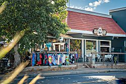 Oceanfront Paradise Ground Floor Condo